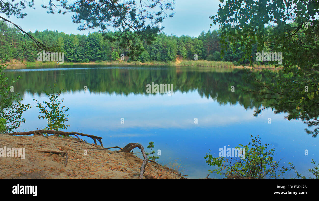 beautiful summer landscape with picturesque lake in the forest Stock ...