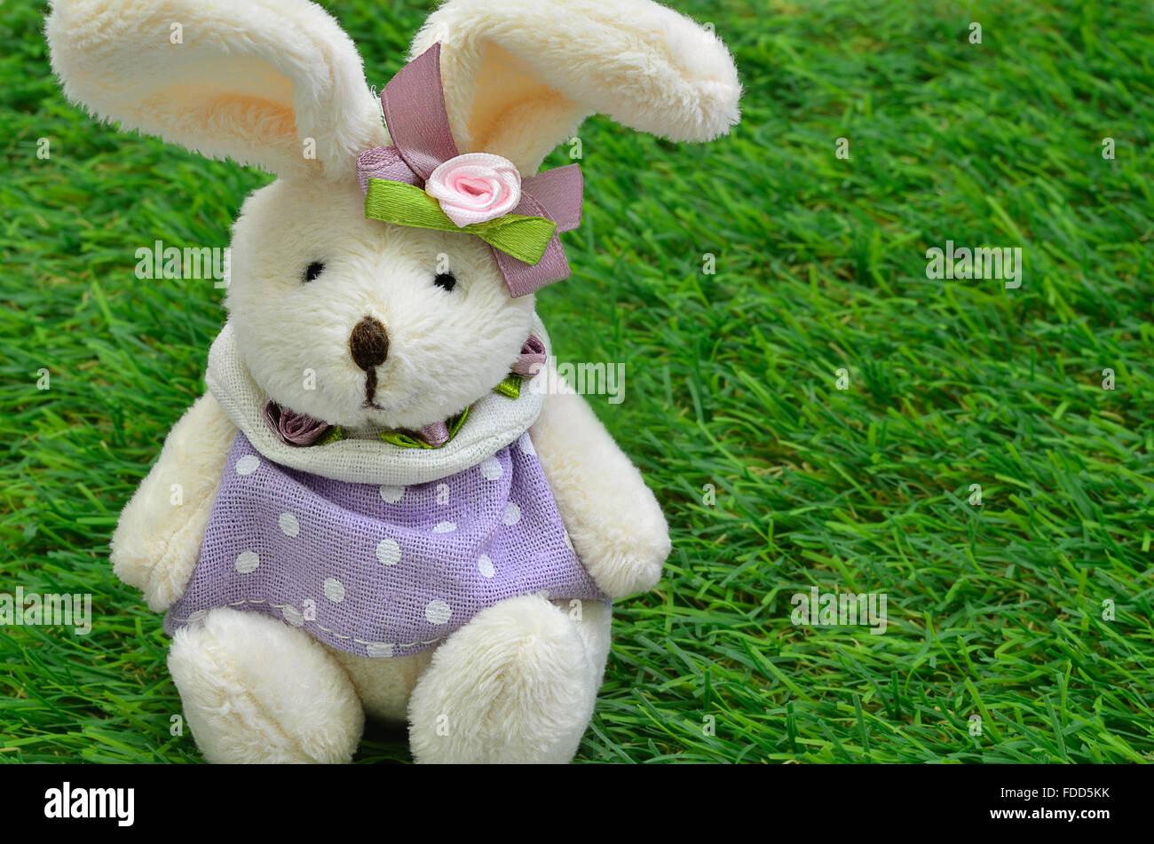 close up of a beige Easter bunny, female with purple dress,  sitting on green grass, horizontal Stock Photo