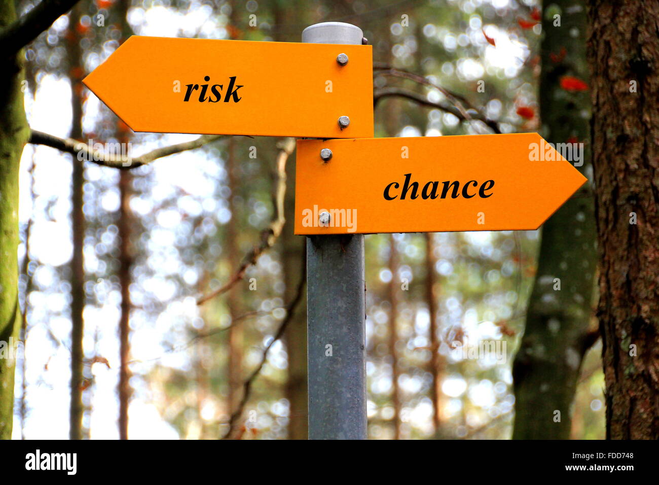 risk and chance written on a yellow direction sign Stock Photo