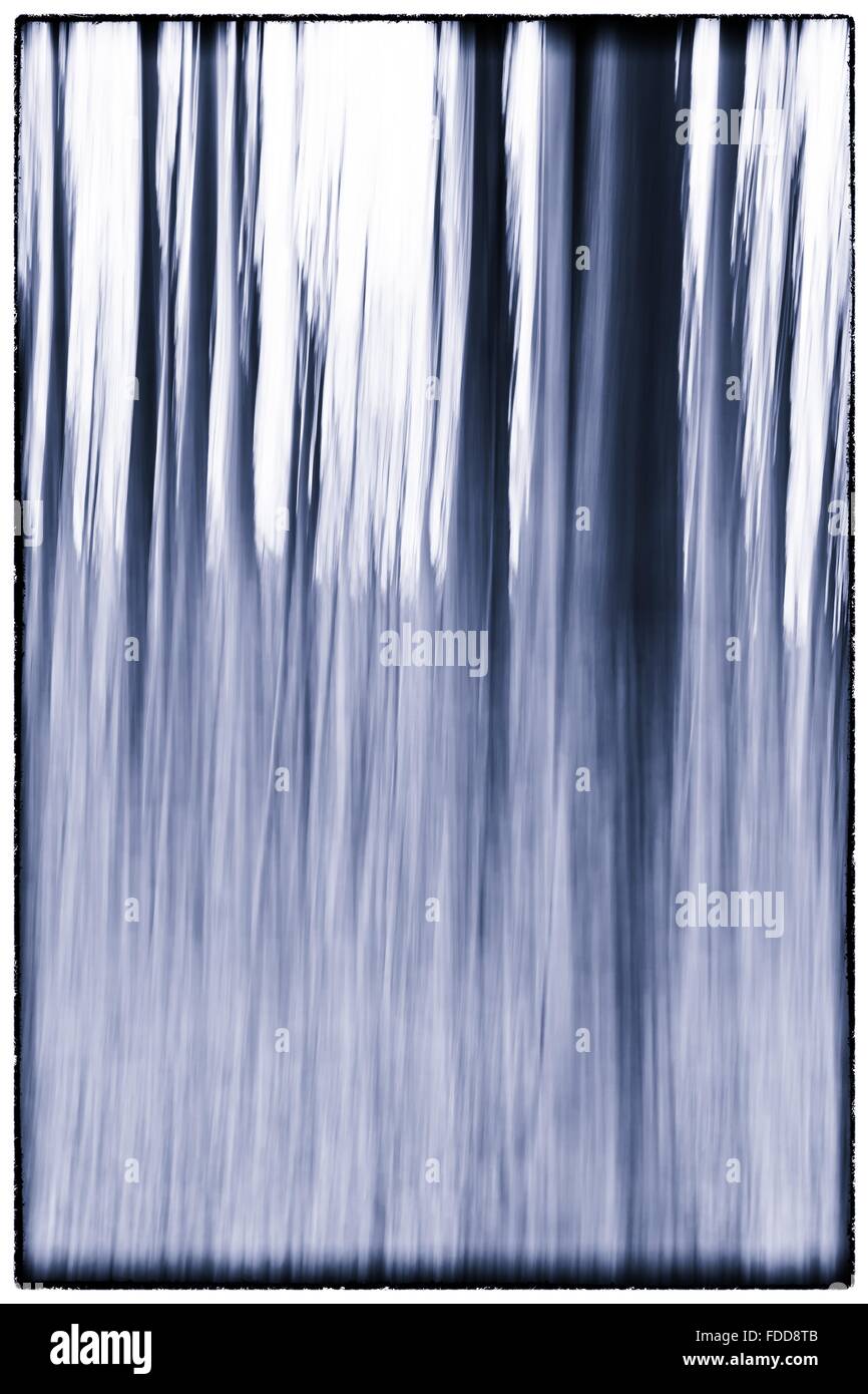 Slow shutter speed trees hi-res stock photography and images - Alamy