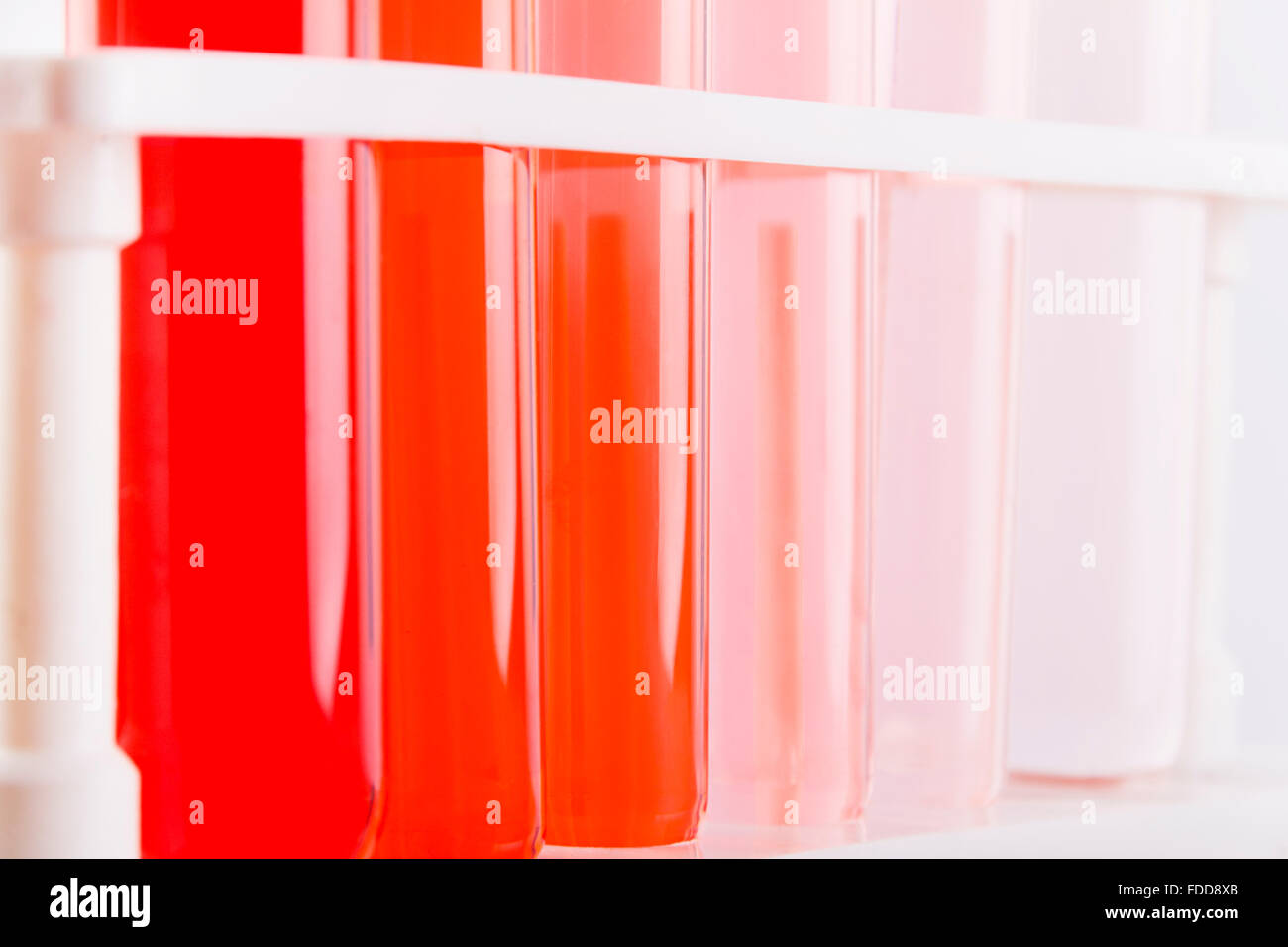 Medical Science Laboratory Chemical Test Tube Rack Nobody Stock Photo ...