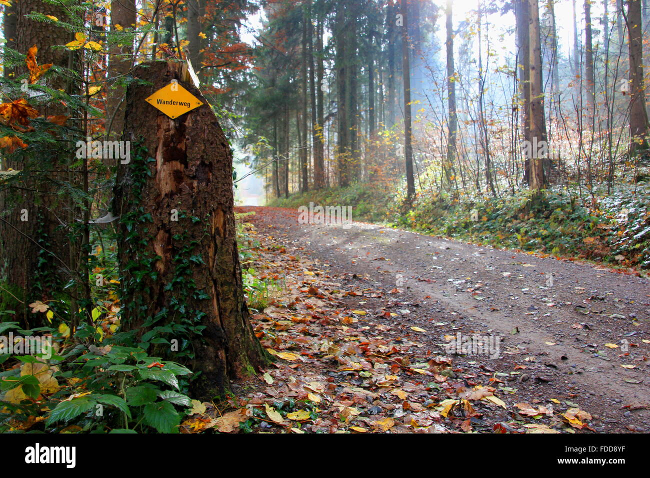 wanderweg written on a yellow direction sign on a forest path Stock Photo