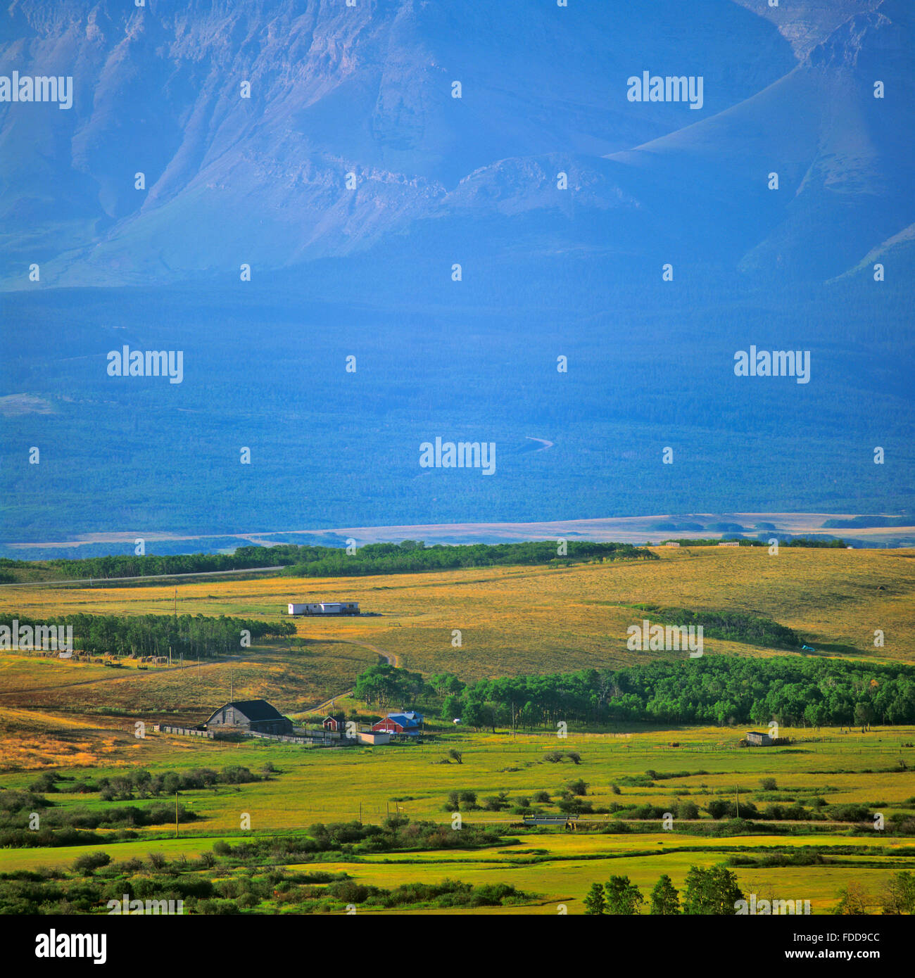 Pasture land in southern Alberta Stock Photo Alamy