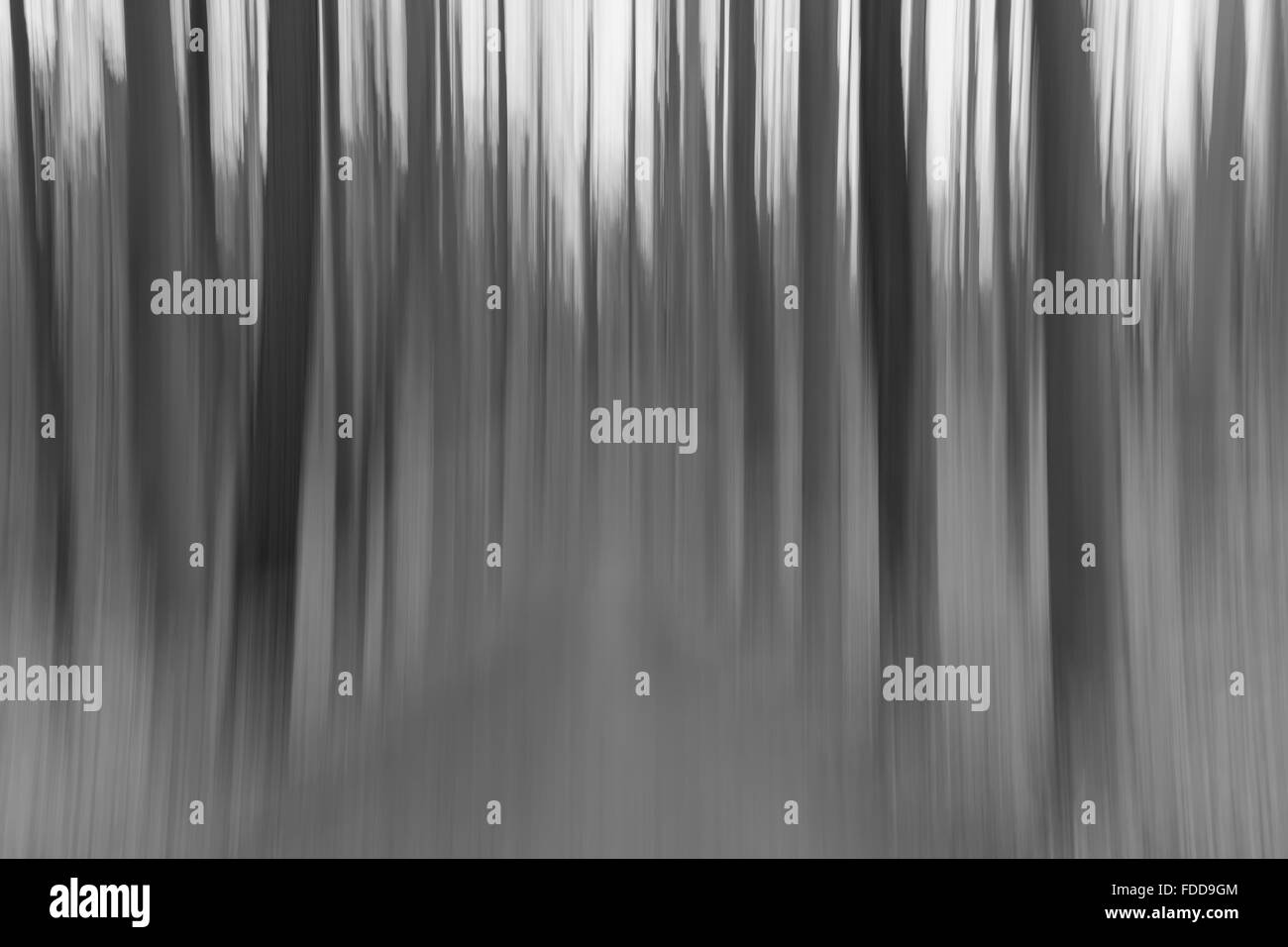 A conceptual photo using slow shutter speed of trees in a forest showing green, orange leaves and lavender colours Stock Photo