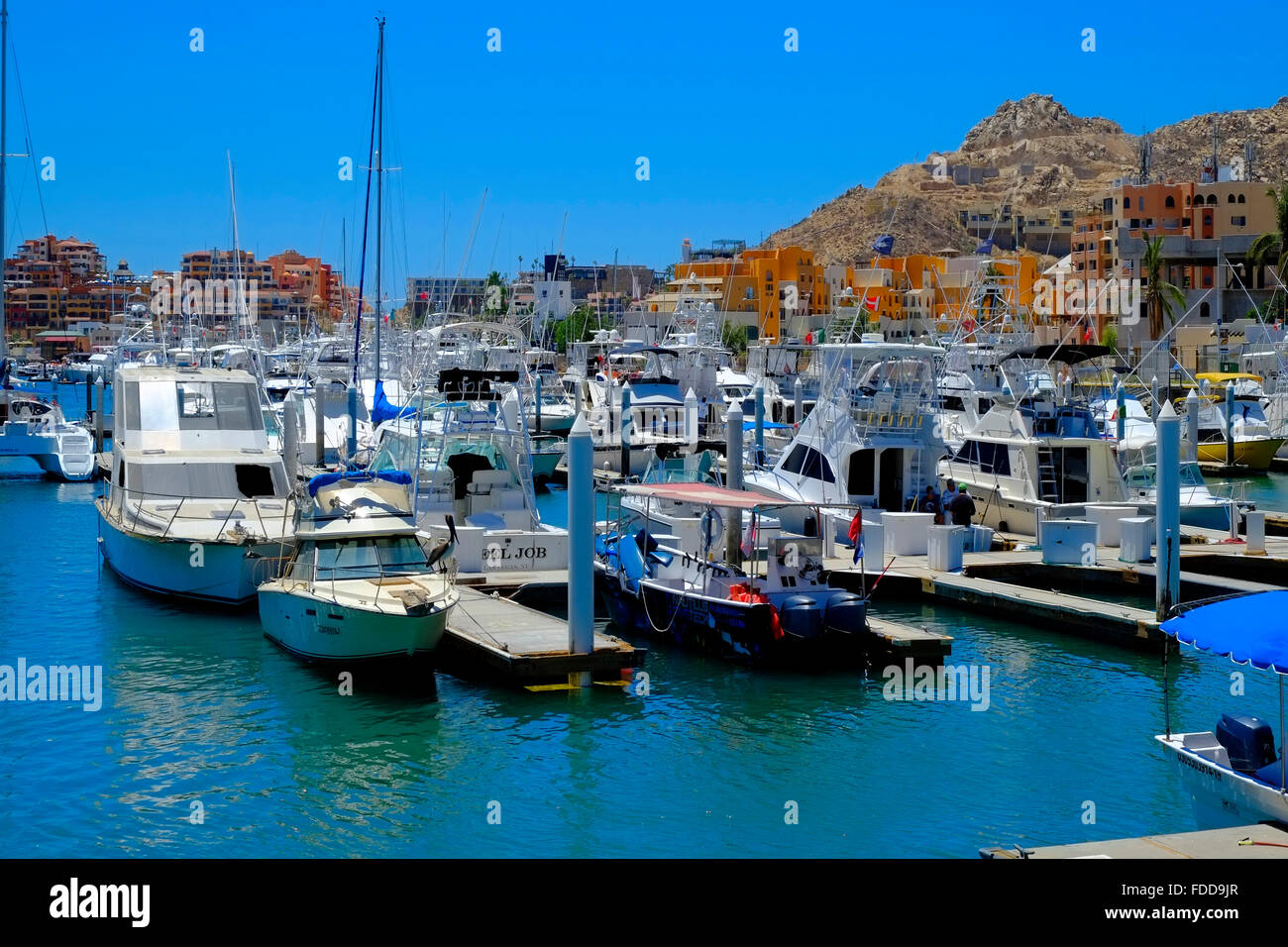 Marina Cabo San Lucas Mexico Pacific Ocean Stock Photo - Alamy