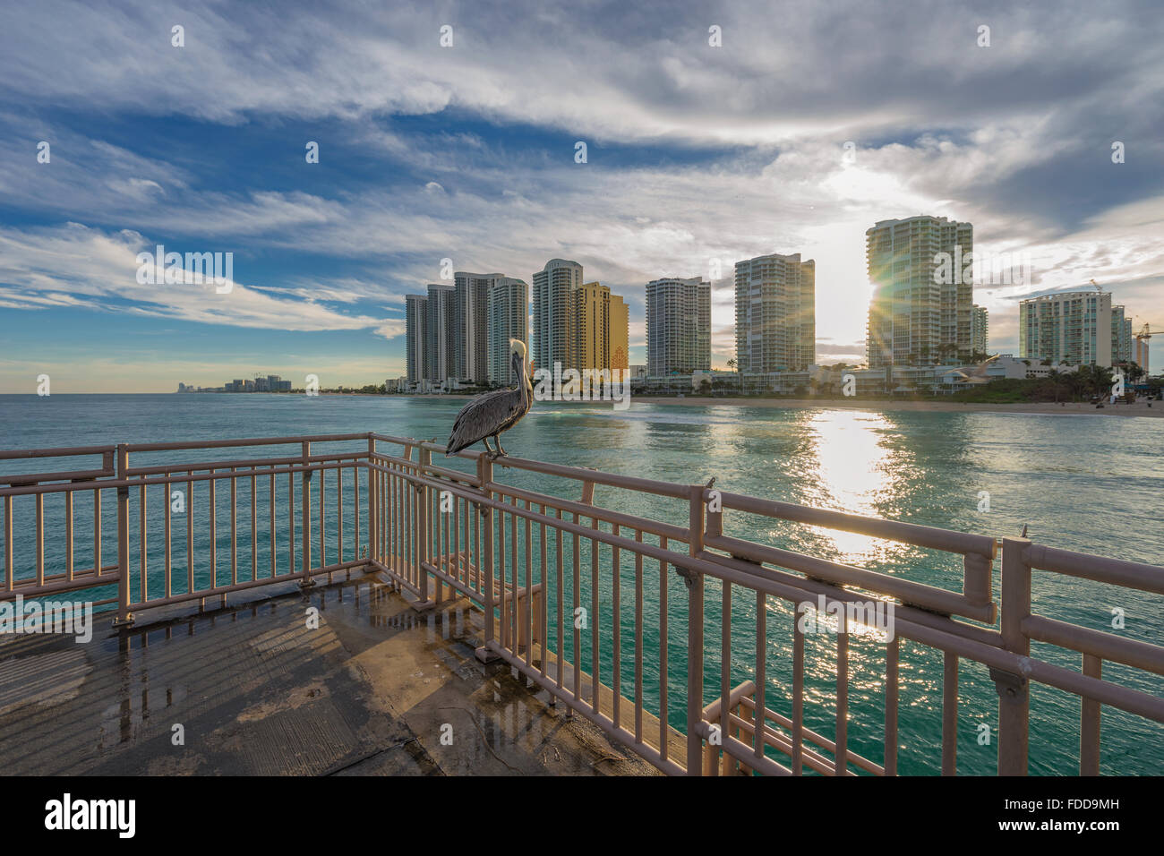 Sunny Isles Beach, Miami, Florida - Pelican in the pier Stock Photo
