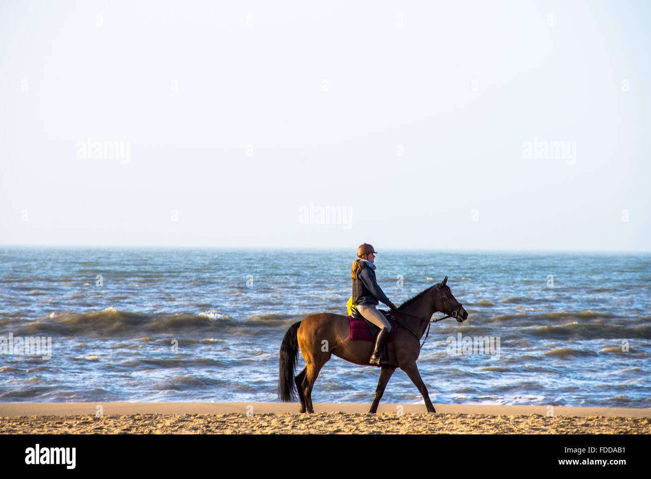 woman riding horse at beach in holland Stock Photo