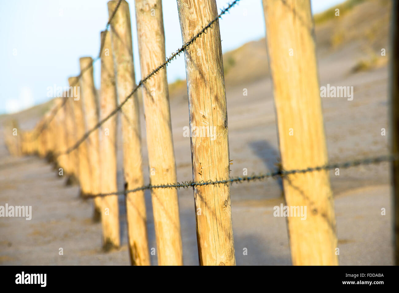fence with row of wooden poles with barbed wire Stock Photo