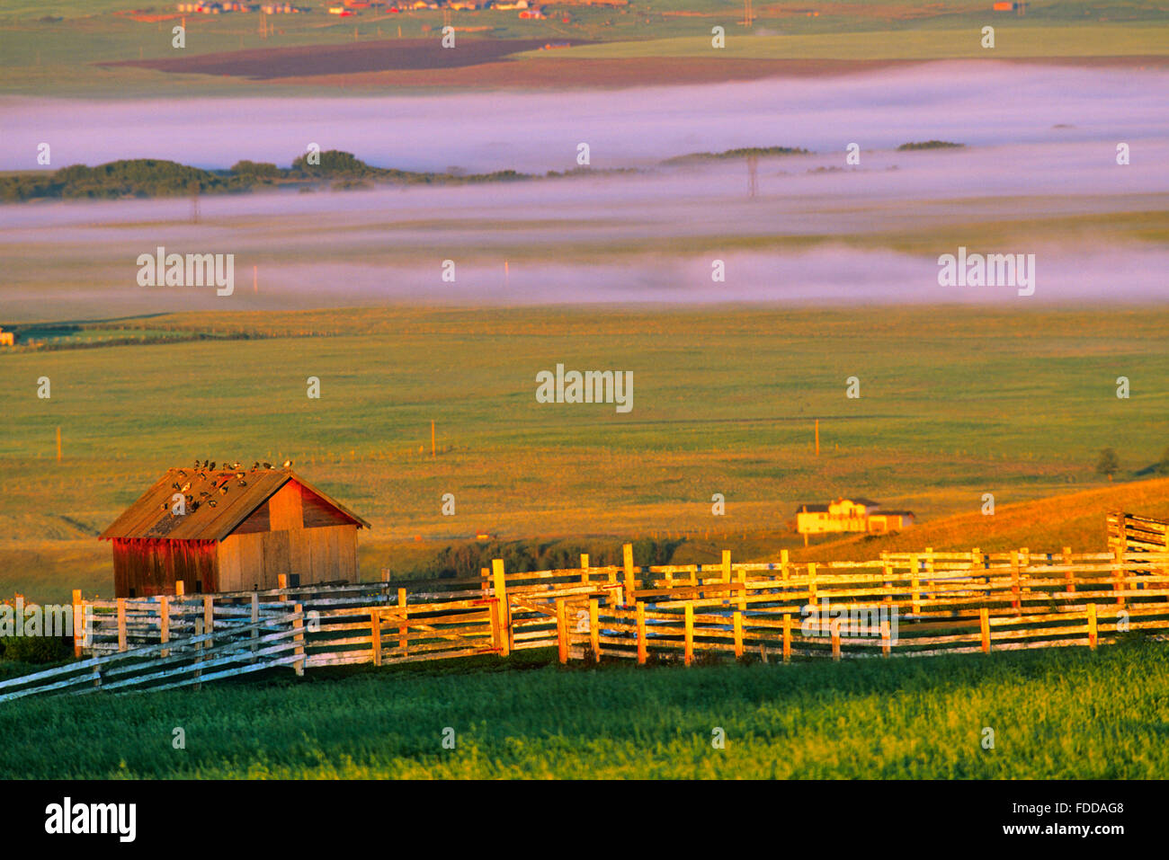Farm views in winter hi-res stock photography and images - Alamy