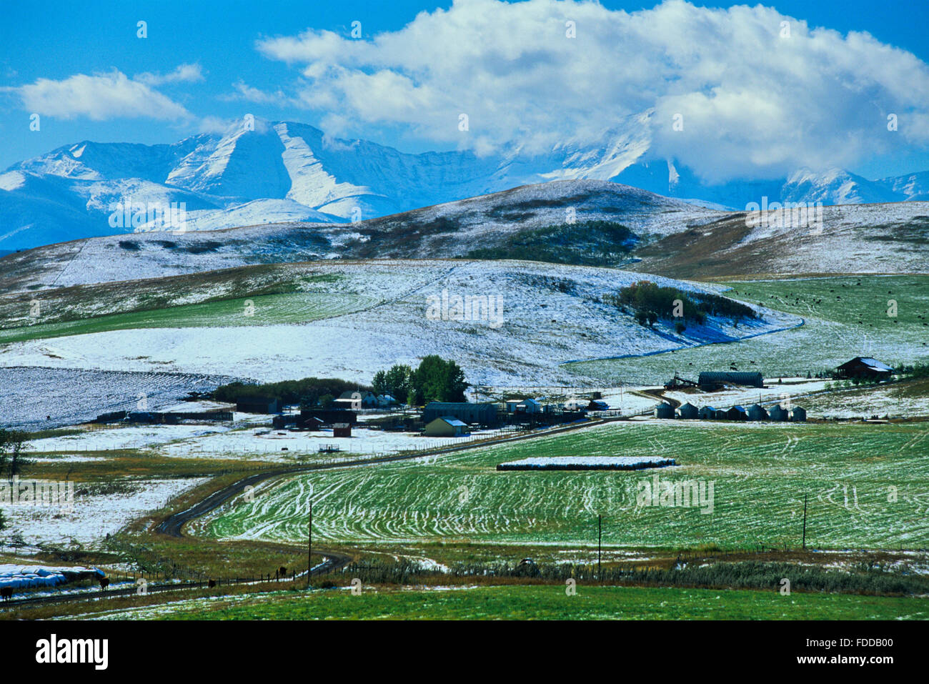 Farm land in Southern Alberta in winter, Canada Stock Photo Alamy