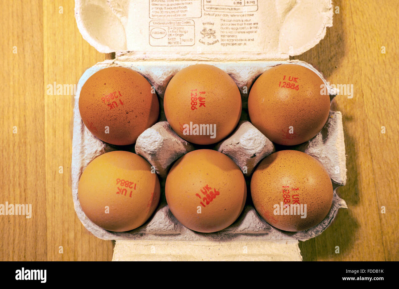 Lion stamp eggs hires stock photography and images Alamy