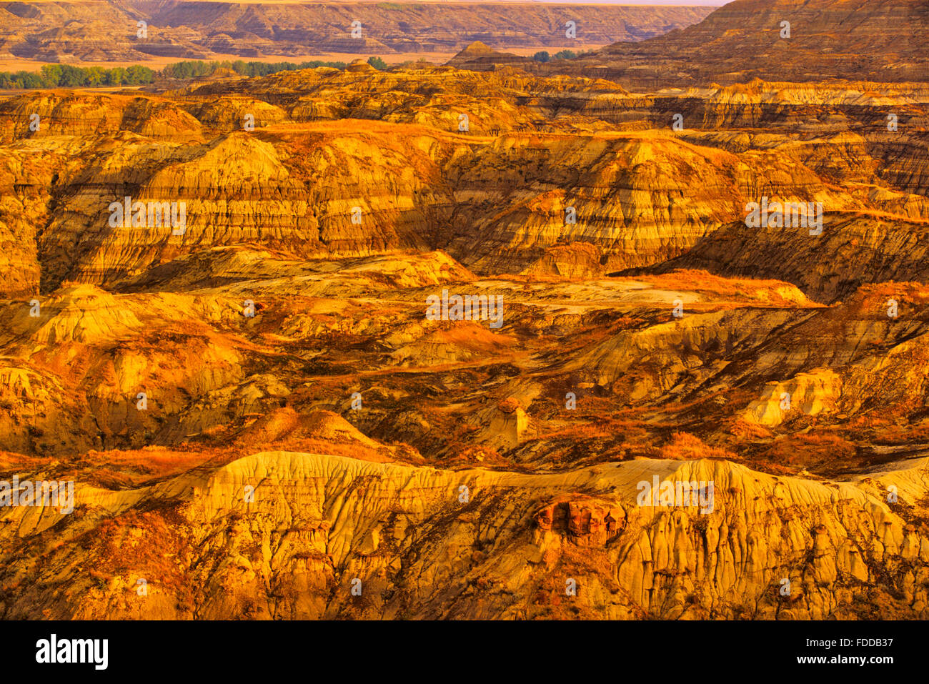 The badlands in Southern Alberta, Canada Stock Photo