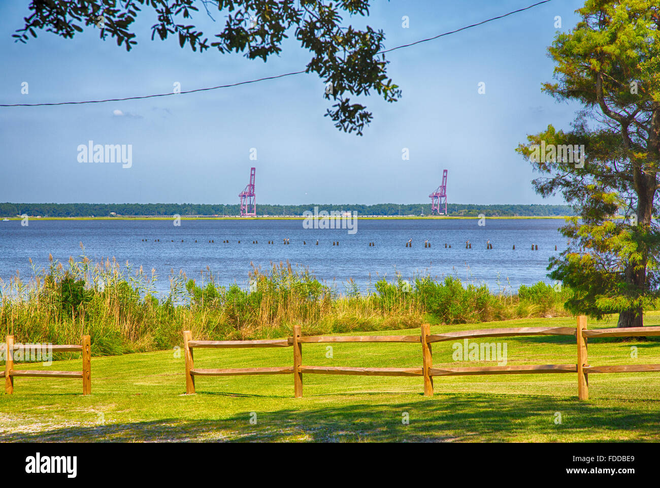 The Cape Fear river bank near wilmington North Carolina Stock Photo - Alamy