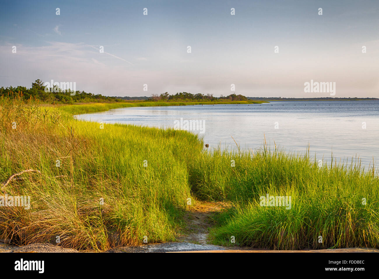 Cape Fear River High Resolution Stock Photography and Images Alamy