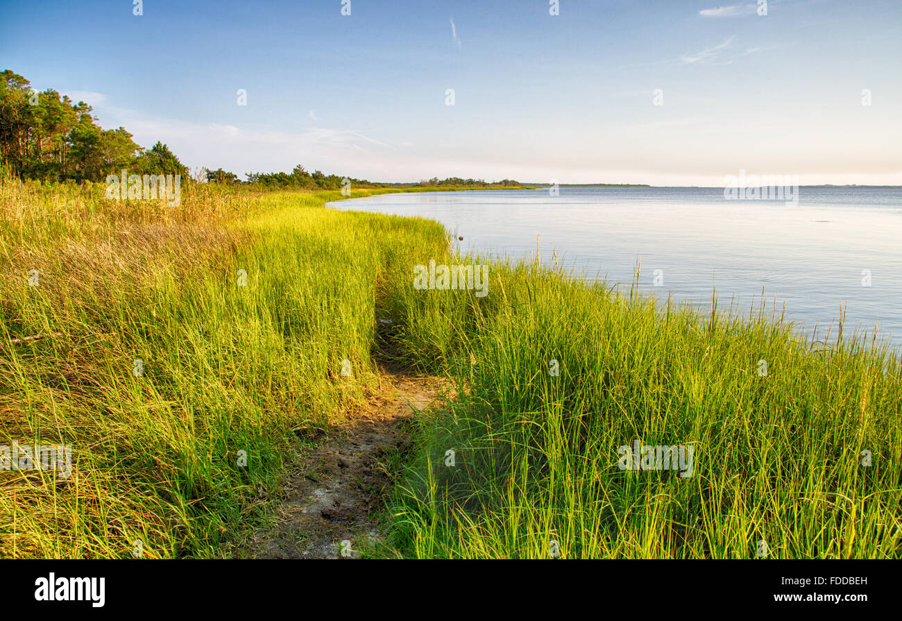 Cape Fear River High Resolution Stock Photography and Images - Alamy