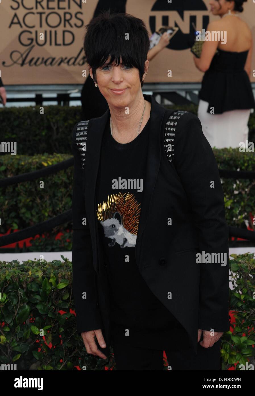 Los Angeles, CA, USA. 30th Jan, 2016. Diane Warren at arrivals for 22nd