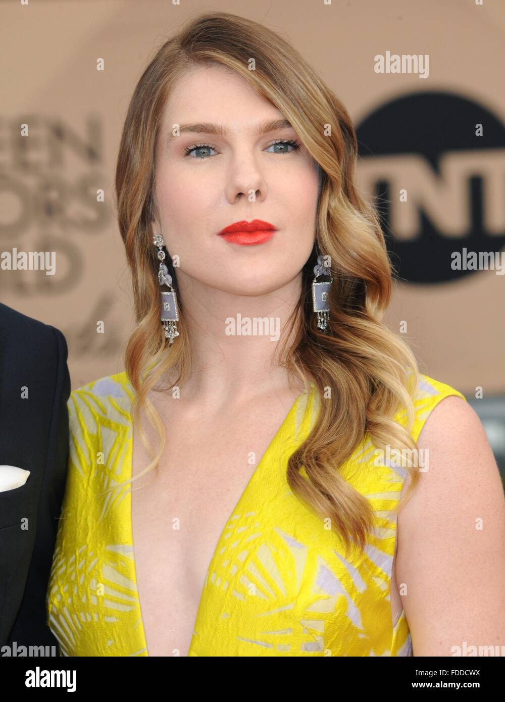 Los Angeles, CA, USA. 30th Jan, 2016. Lily Rabe at arrivals for 22nd ...