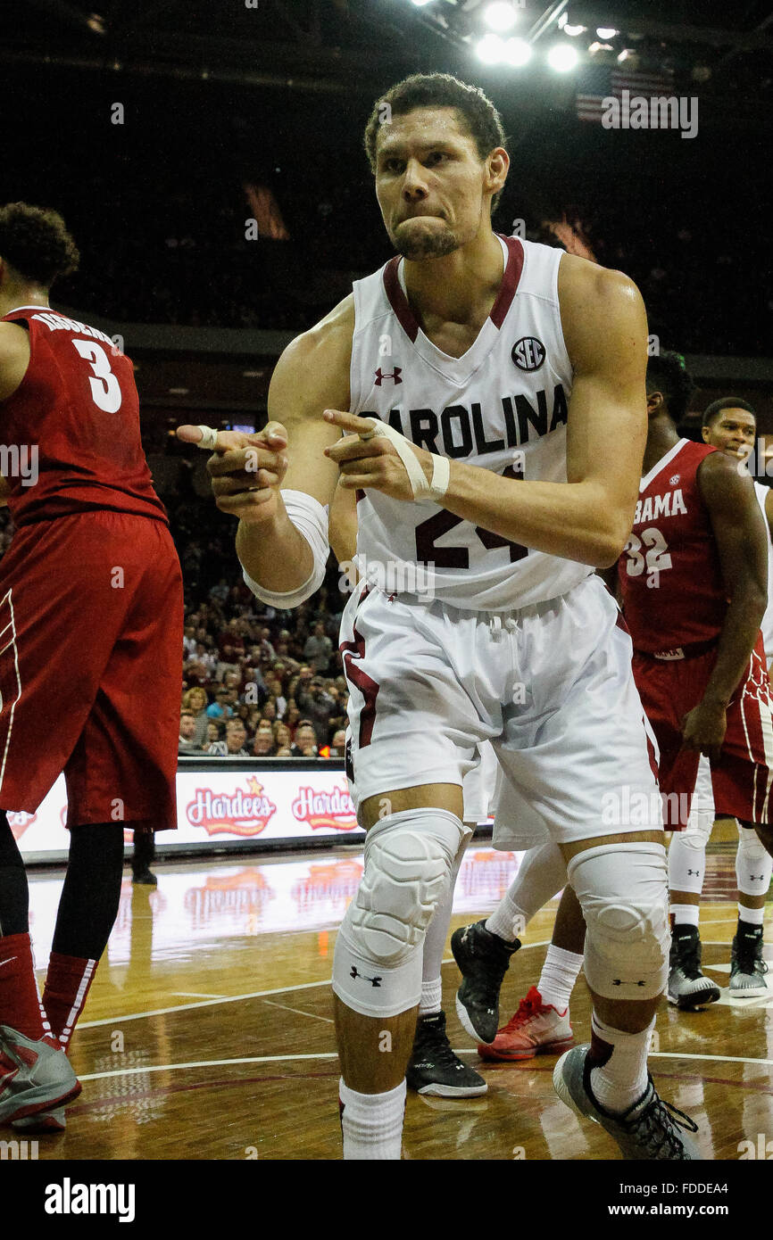 Columbia, SC, USA. 30th Jan, 2016. Michael Carrera (24) of the South Carolina Gamecocks celebrates as he draws the foul in the NCAA Basketball match-up between the Alabama Crimson Tide and the South Carolina Gamecocks at Colonial Life Arena in Columbia, SC. News Credit:  Cal Sport Media/Alamy Live News Stock Photo