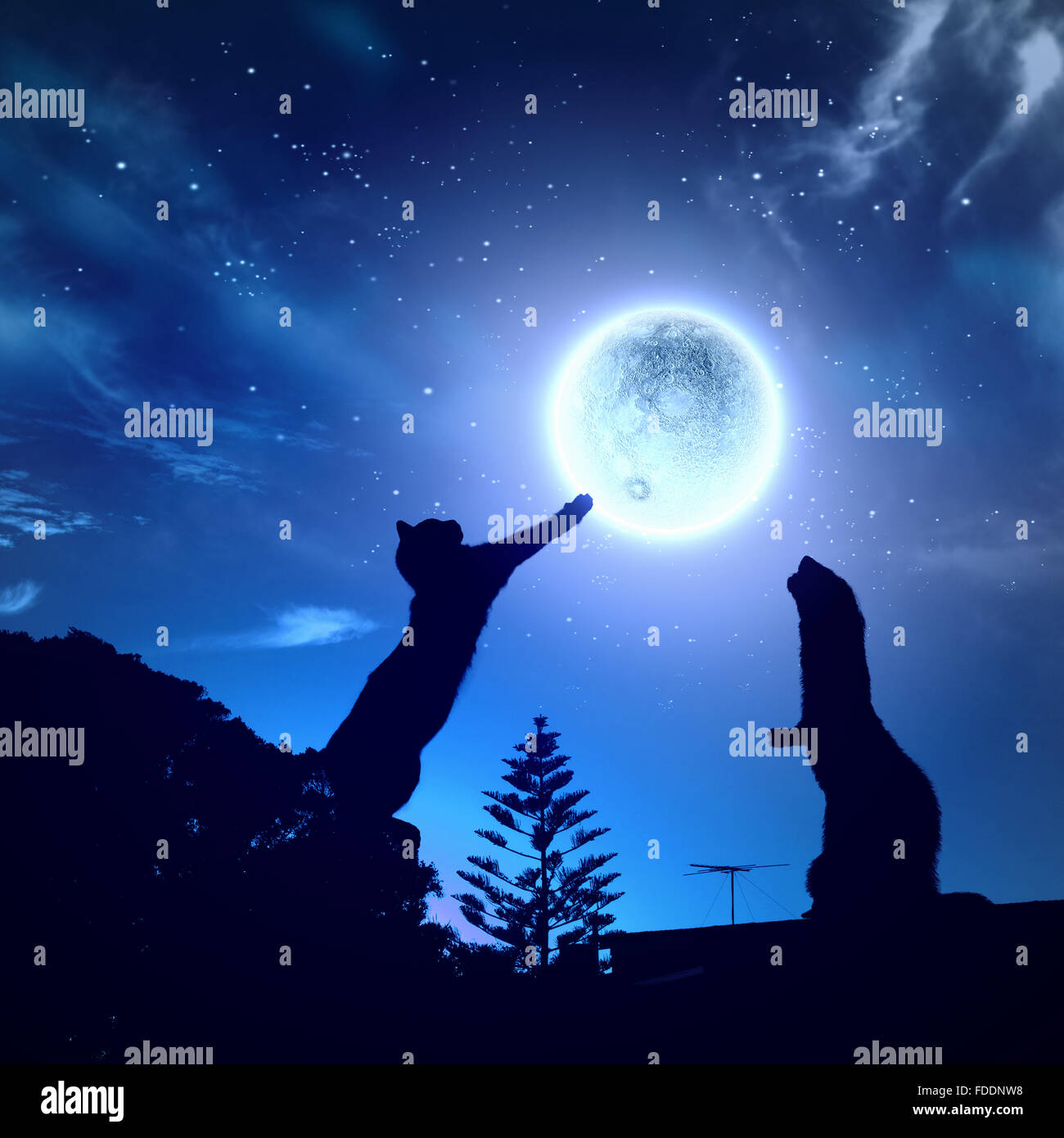 Silhouettes of animals in night sky with full moon Stock Photo