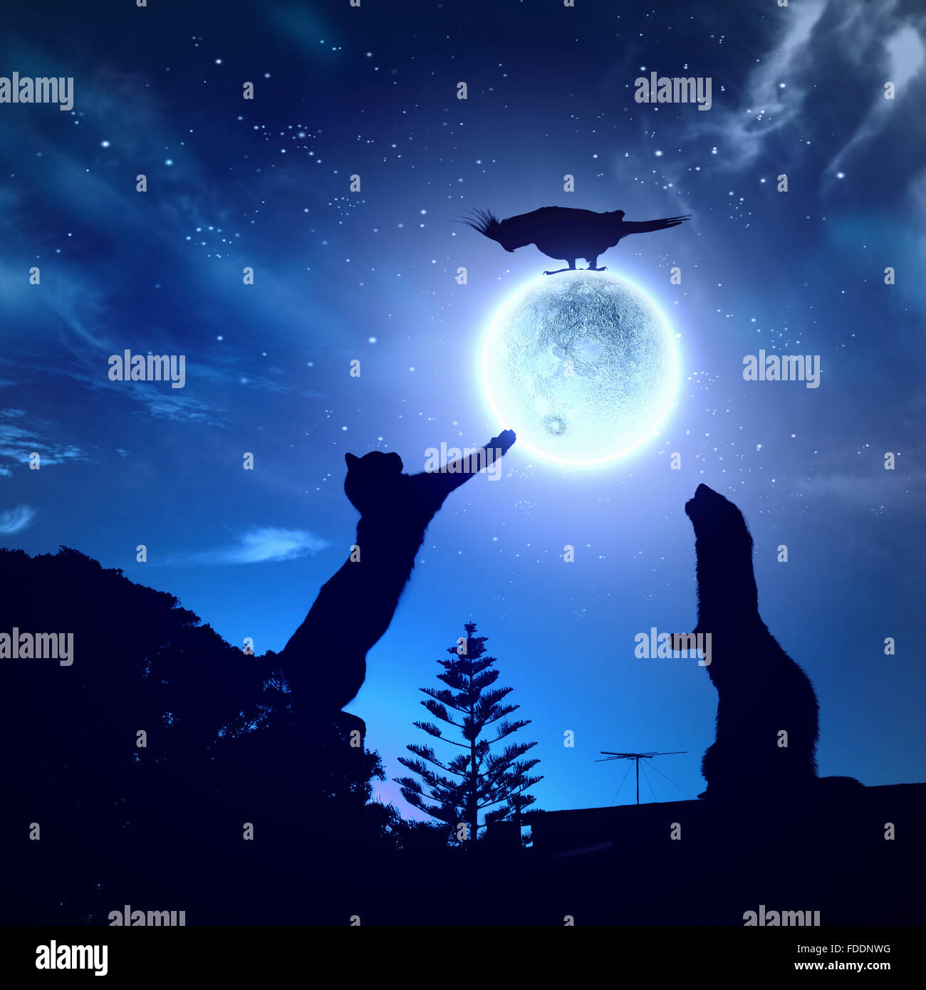 Silhouettes of animals in night sky with full moon Stock Photo
