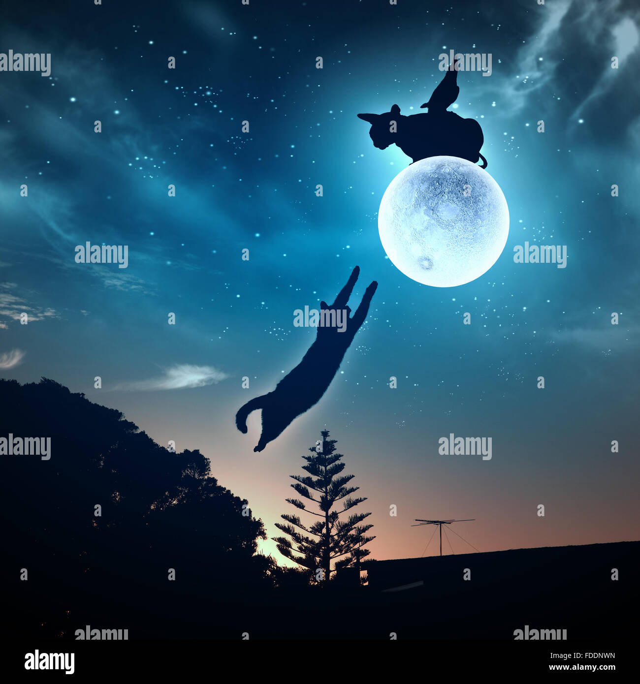 Silhouettes of animals in night sky with full moon Stock Photo