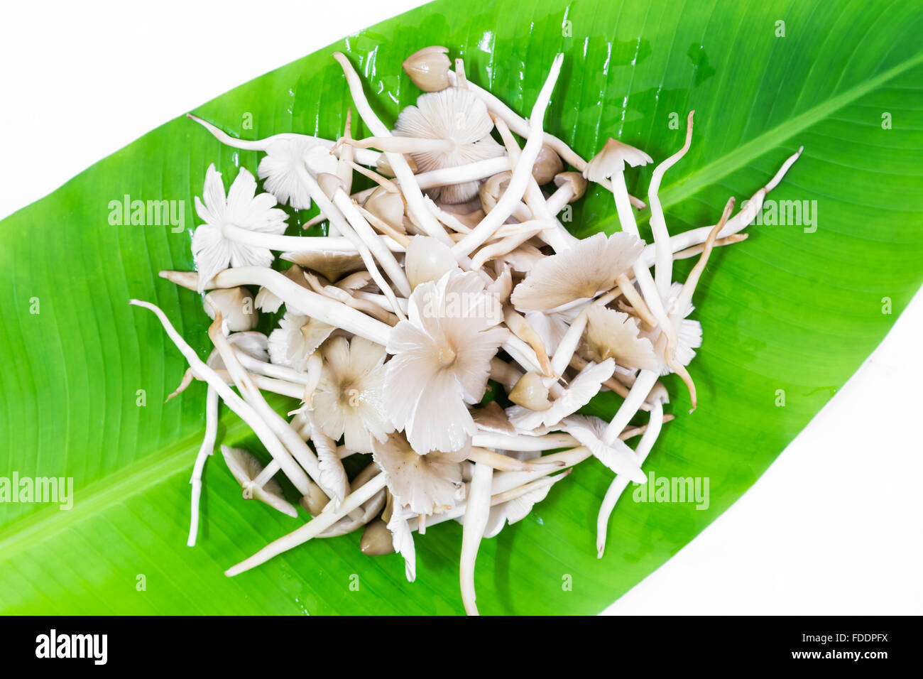 Ehedocn placed on banana leaves for cooking.(Silver Sillago) Stock Photo
