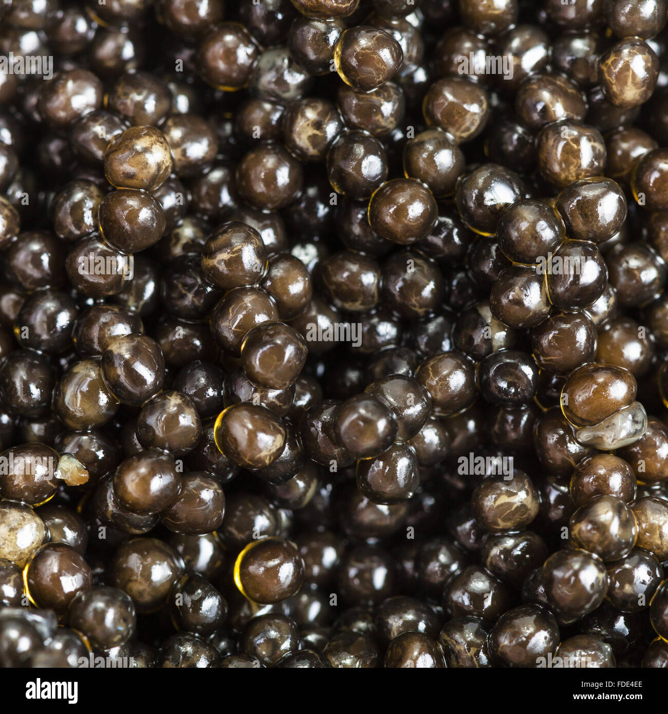 square food background - black sturgeon caviar close up Stock Photo