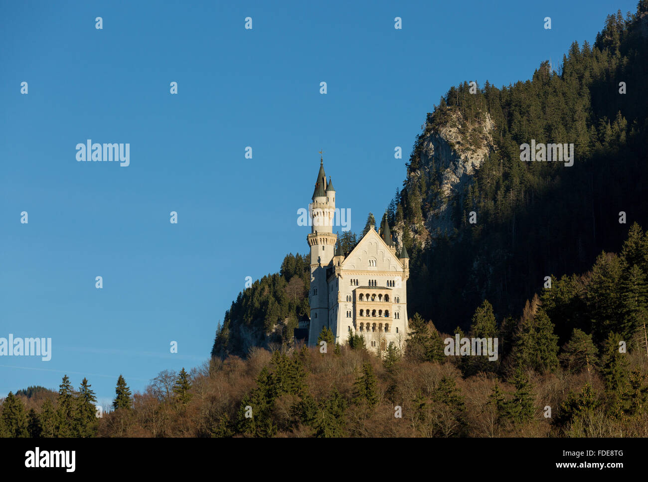 Castle Neuschwanstein near Füssen, Bavaria, Germany Stock Photo