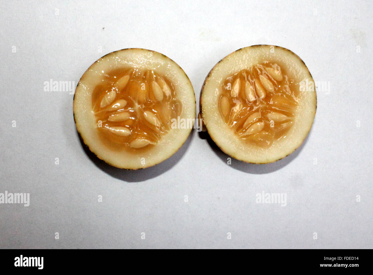 Wild melon, Cucumis melo var agrestis, fruit section, oval fruit, green