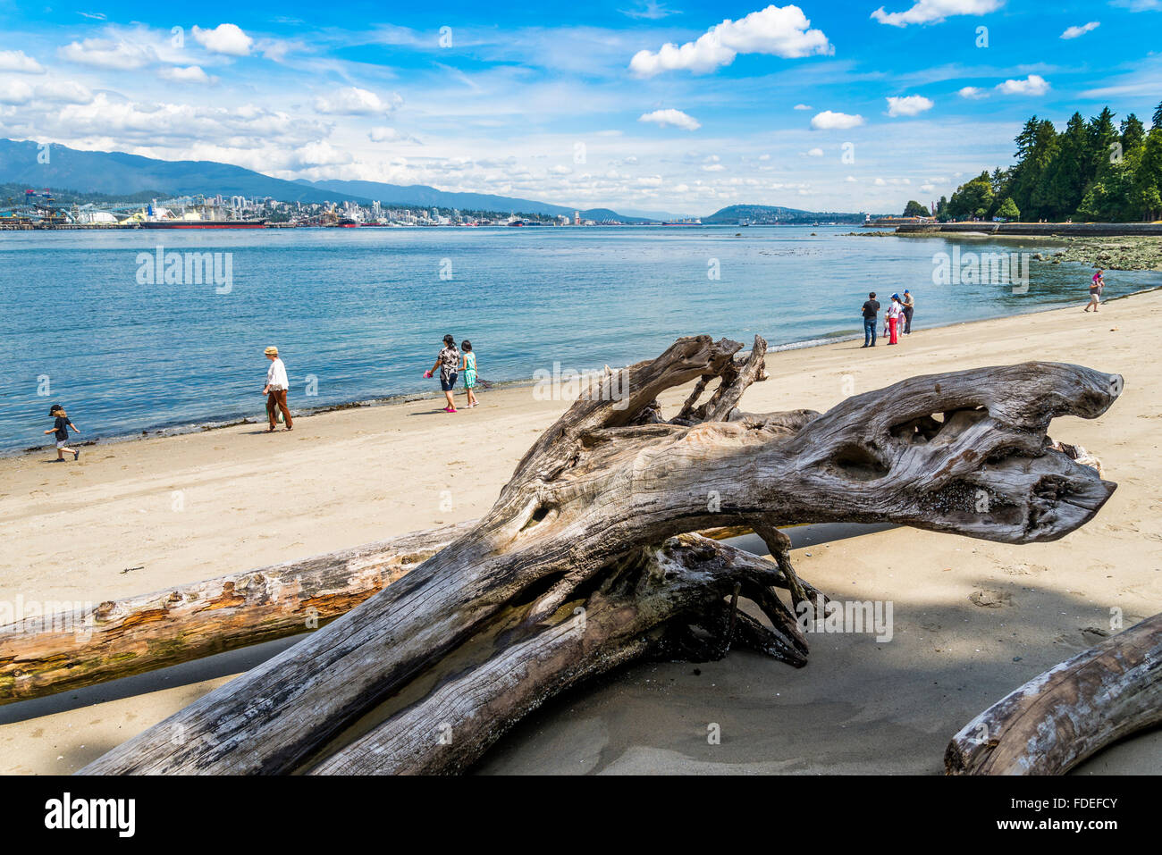 Driftwood logs on beach at Stanley Park, Vancouver, British Columbia, Canada Stock Photo