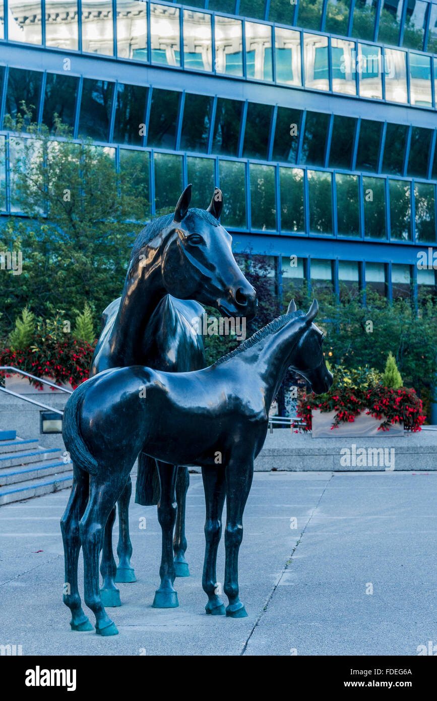 Horse sculpture, Calgary City Hall, Calgary, Alberta, Canada Stock Photo