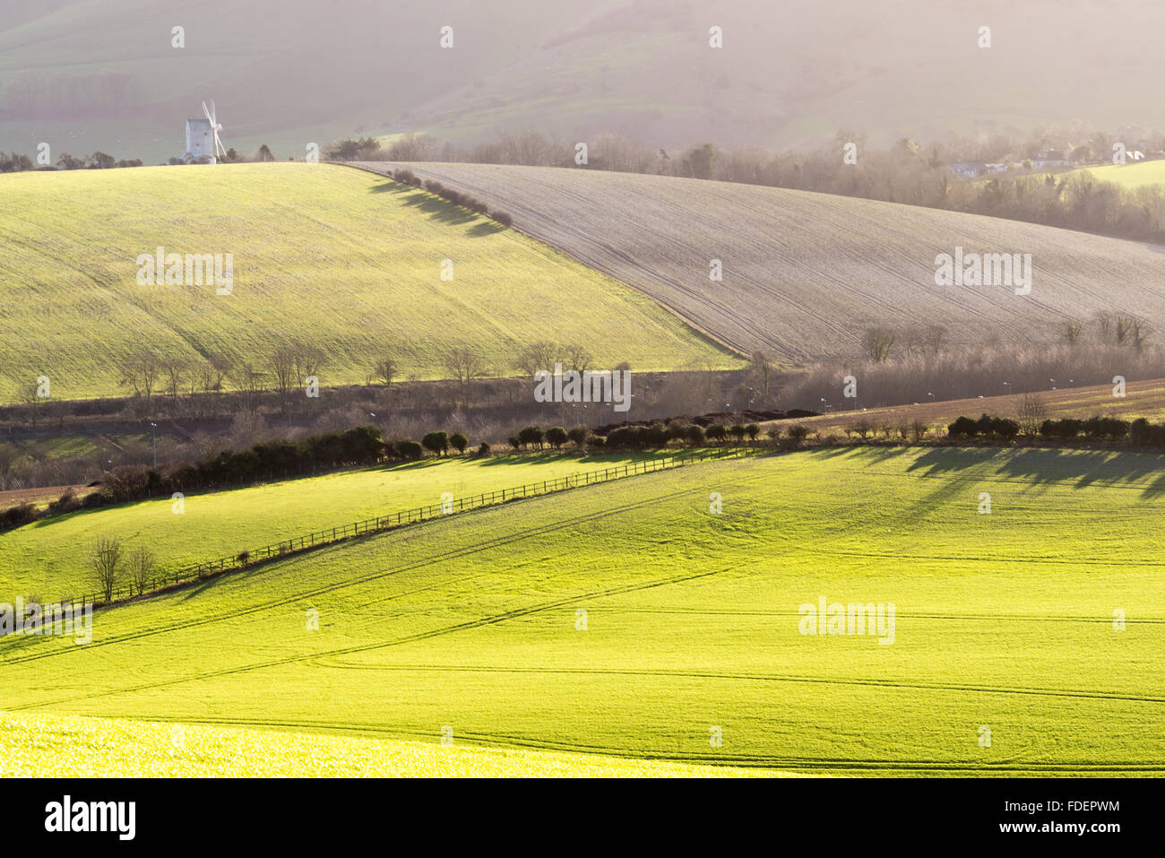 Rolling hills of Sussex in winter sunlight Stock Photo