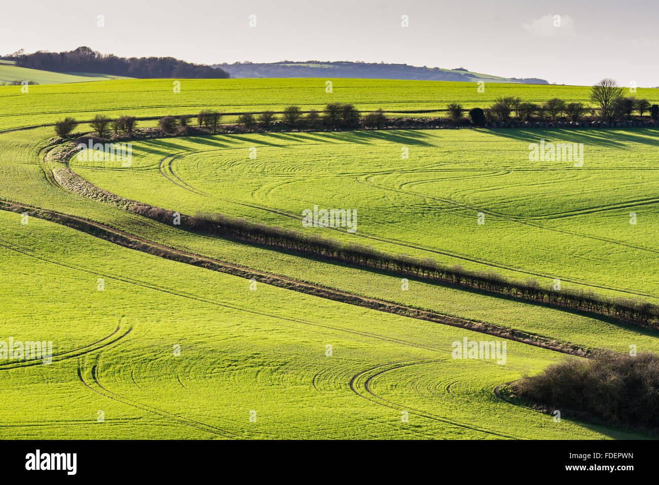 Winter sunlight illuminates features of the South Downs close to Lewes Stock Photo