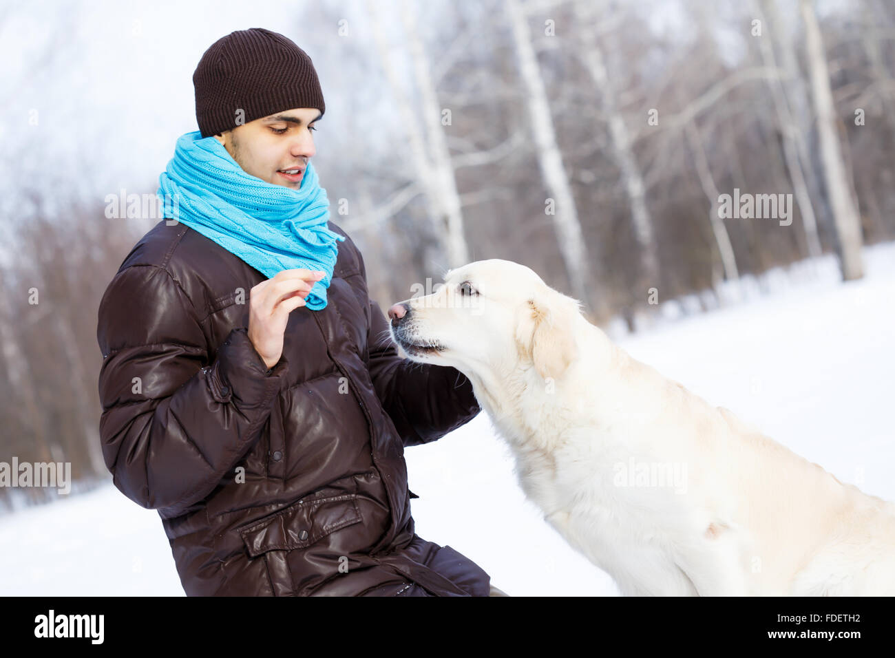 Guy with labrador dog on walk in winter park Stock Photo - Alamy