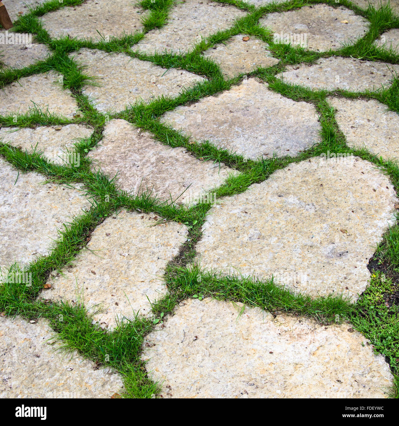 Limestone slabs garden hires stock photography and images Alamy