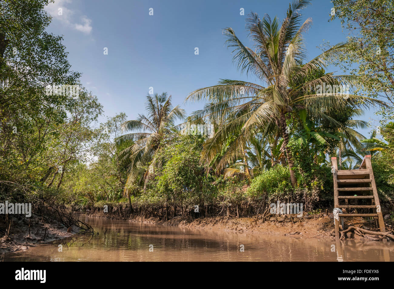 Viet Nam. Vietnam. East Asia. Mekong delta Stock Photo - Alamy
