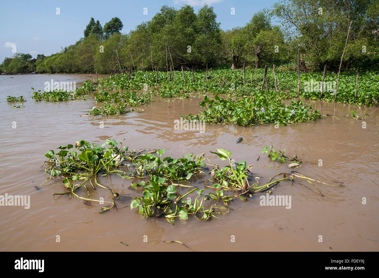 Viet Nam. Vietnam. East Asia. Mekong delta Stock Photo - Alamy