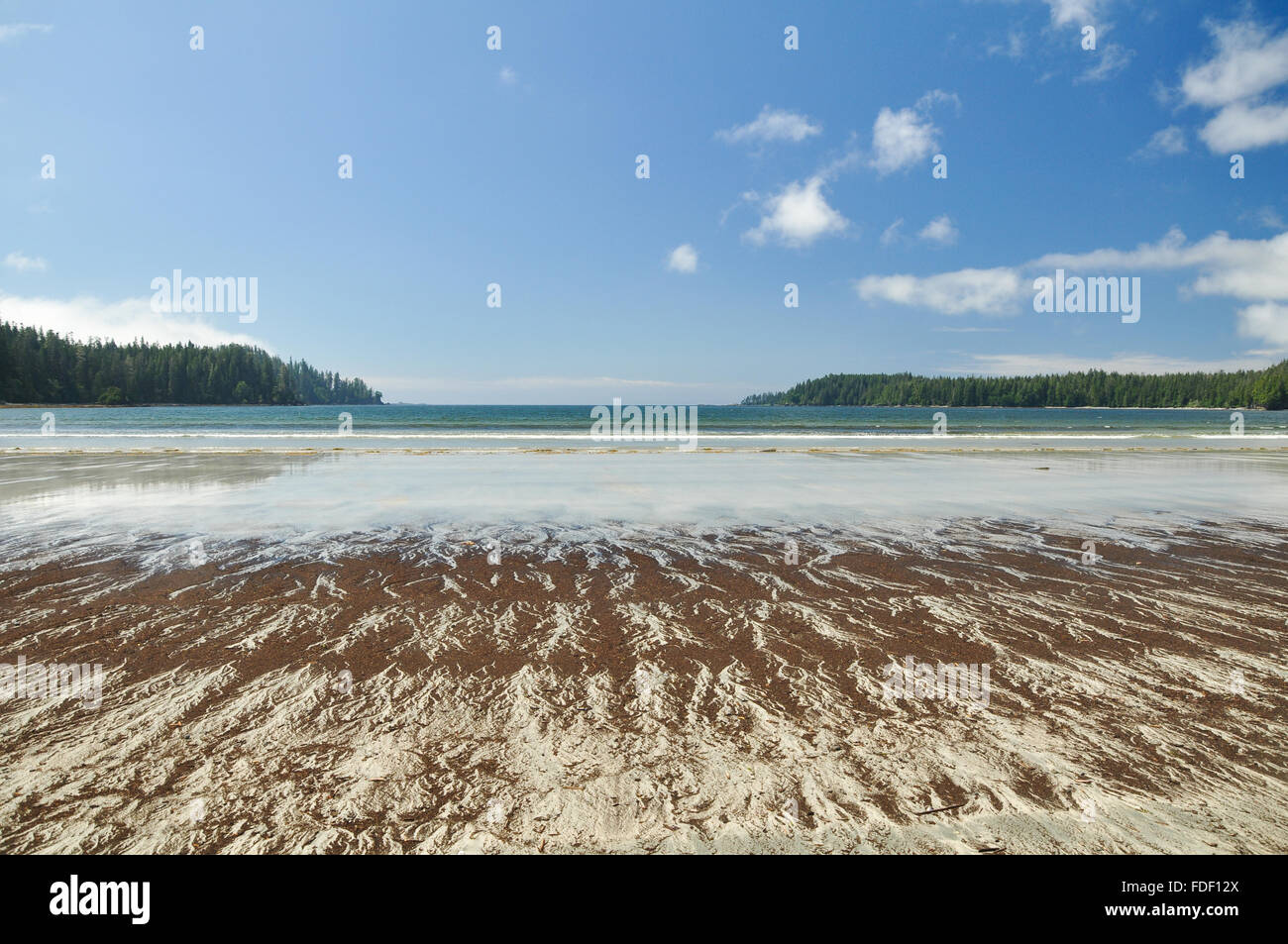 Pachena Bay: Wide beach on the West Coast Trail on Vancouver Island, British Columbia, Canada Stock Photo