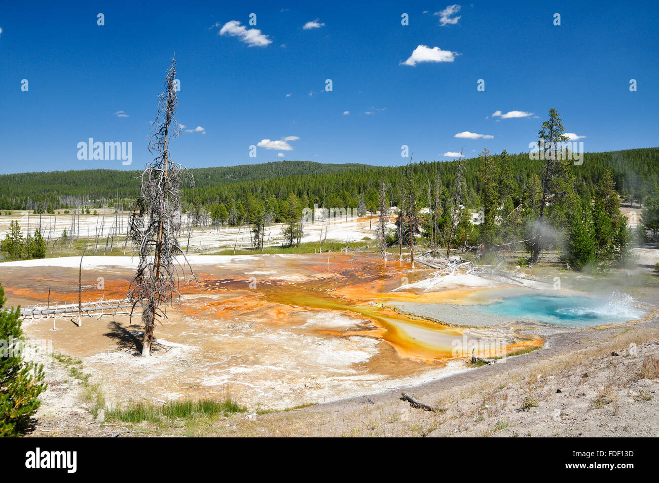 One of Yellowstone's colorful hot springs. Stock Photo