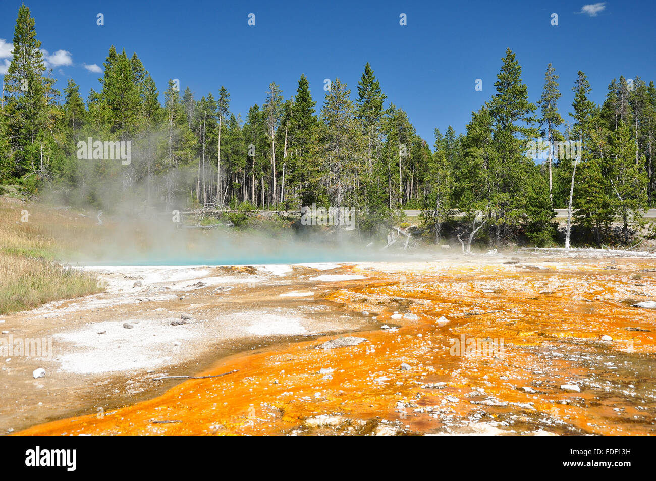 The Paint Holes: One of Yellowstone's colorful hot springs. Stock Photo