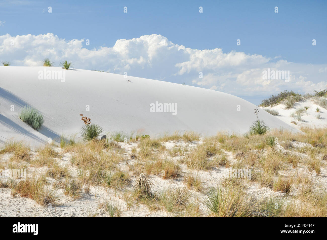 A sand dune in White Sands National Monument Stock Photo