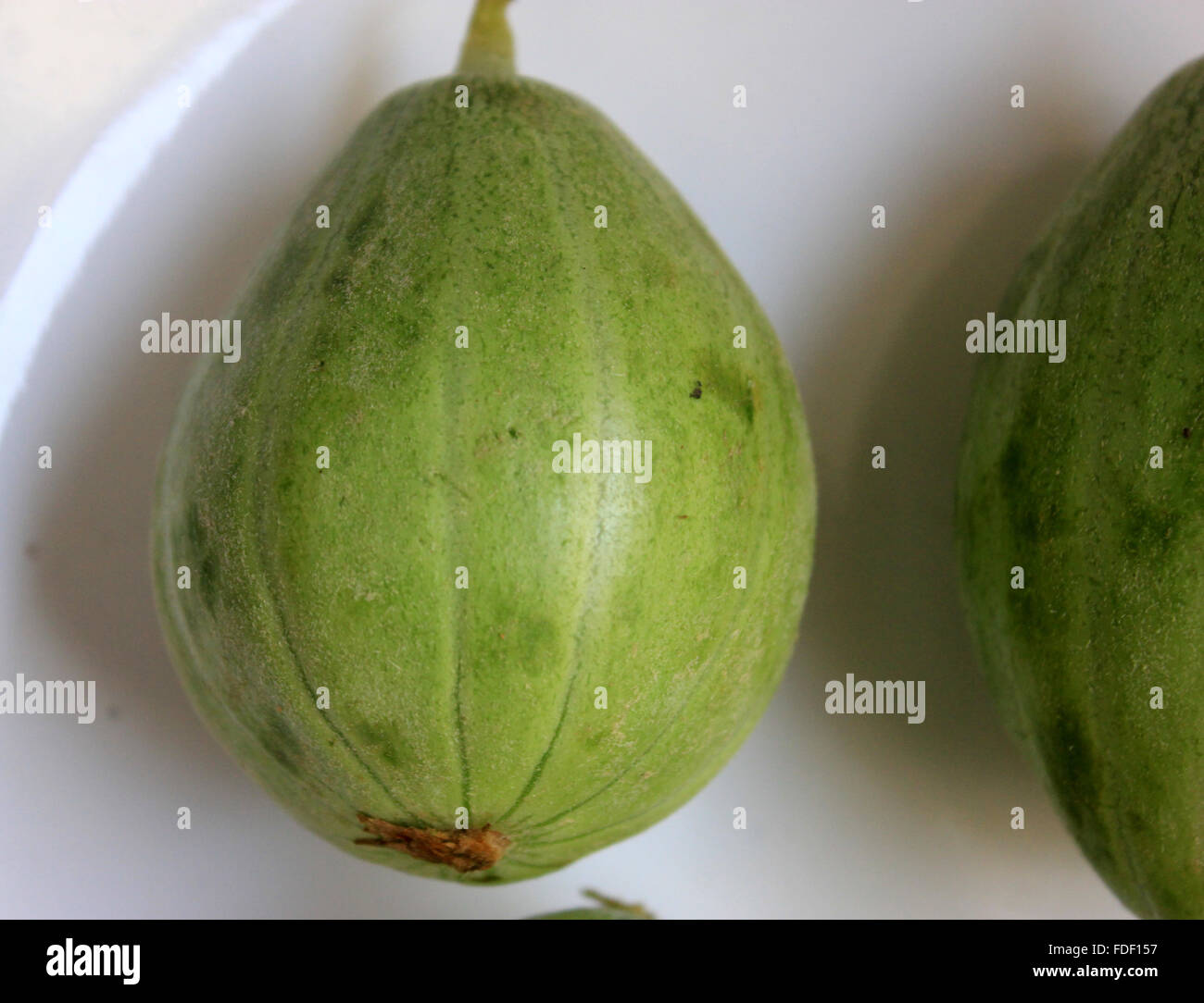 Wanga fruits, Cucumis melo subsp. melo, cucumber like but rounded to oblong fruit, light coloured sutures, vegetable, salad Stock Photo