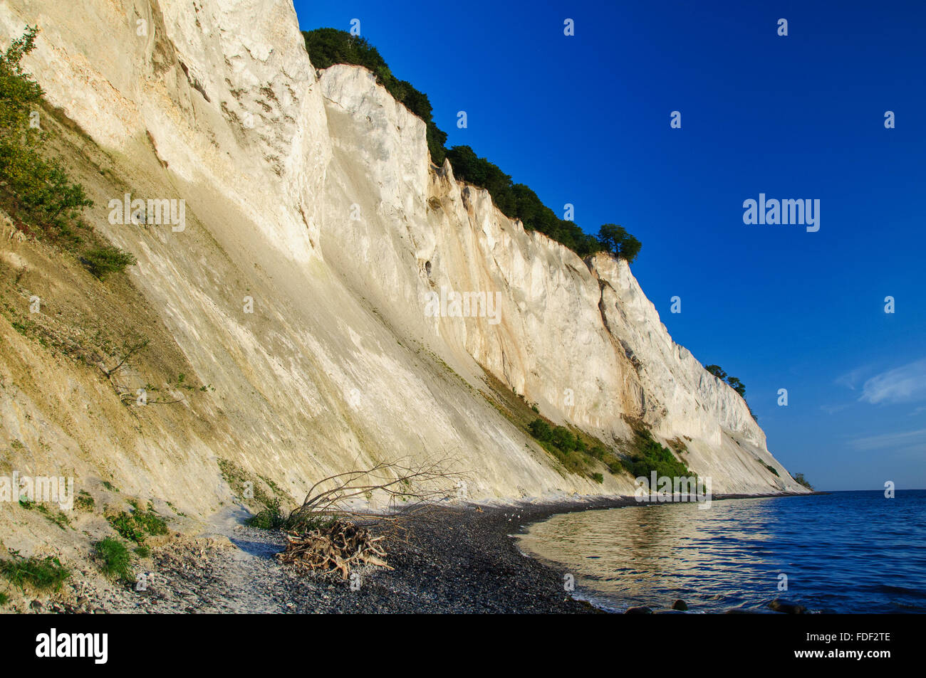 The cliffs of Moen at Sunrise Stock Photo