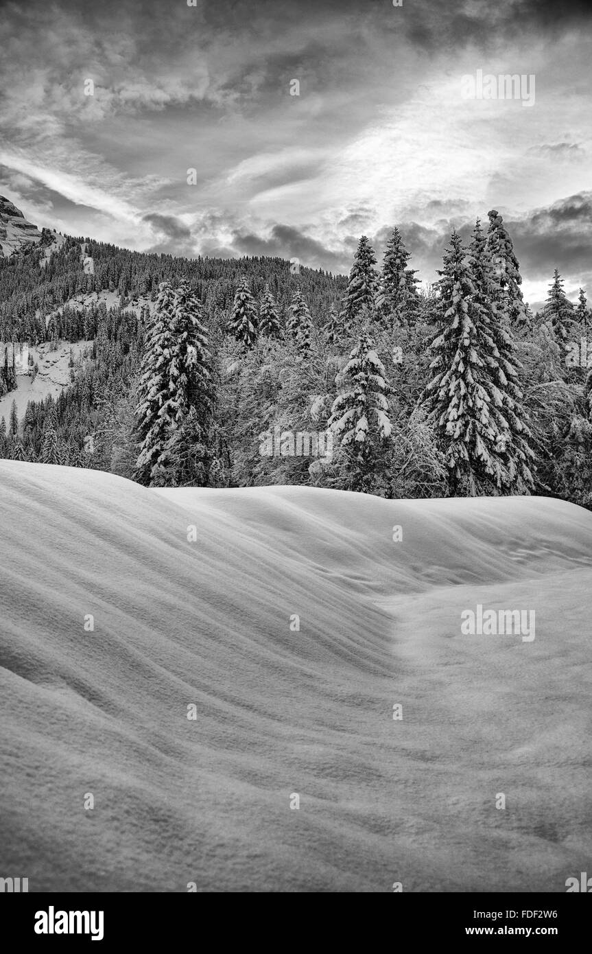 An alpine landscape on a cold winter day in the alps Stock Photo