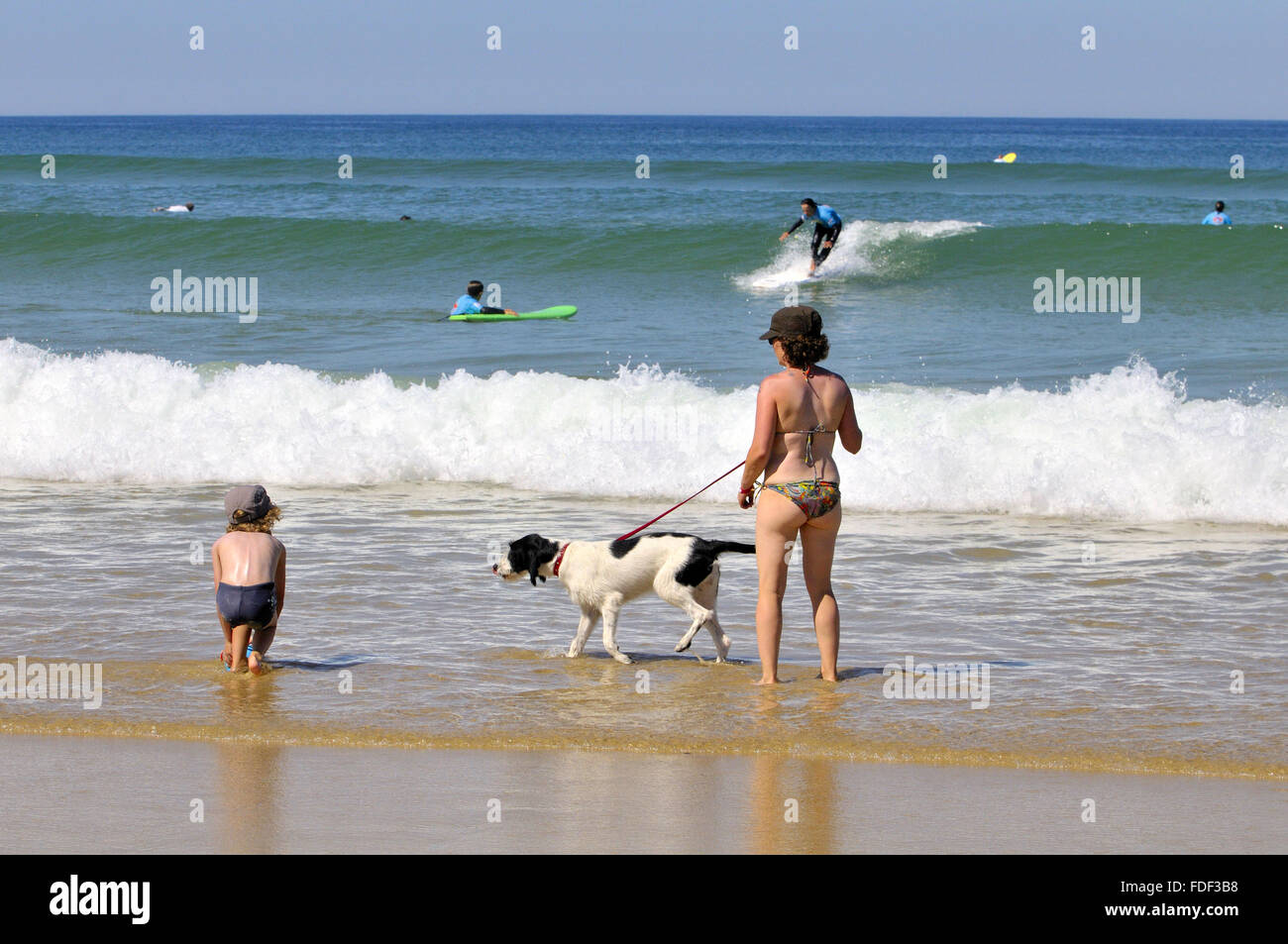 Biscarrosse plage,  Landes department, Aquitaine region, southwestern France. Stock Photo