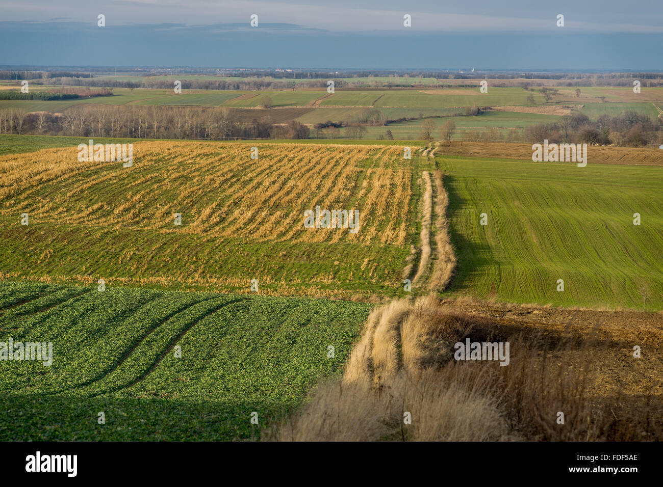 Undulating fields in the early spring near Wiry village Lower Silesia Stock Photo