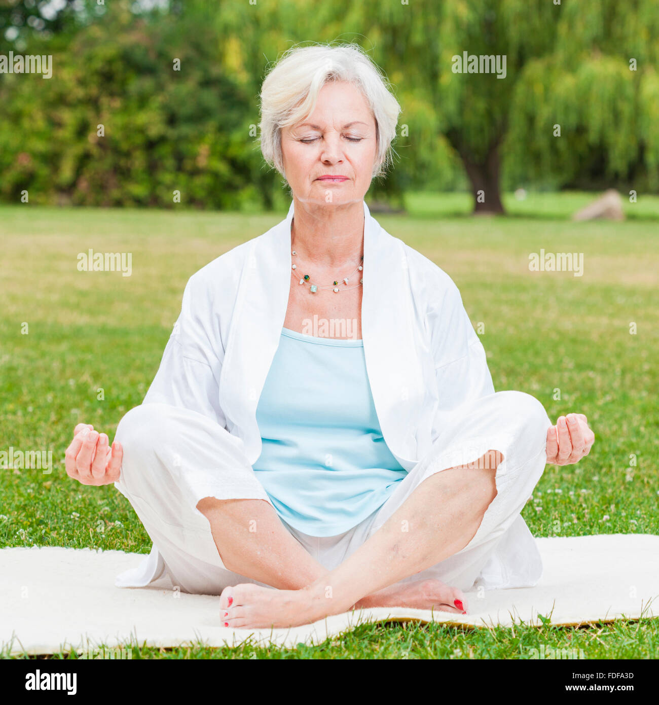 senior healthy old woman practicing yoga and tai chi outdoor Stock