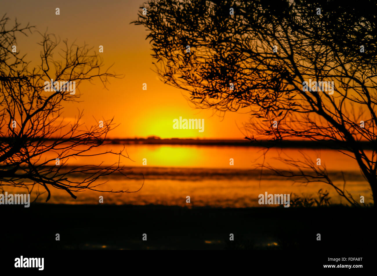 Southern Sunset Beautiful southern sunset hi-res stock photography and images - Alamy