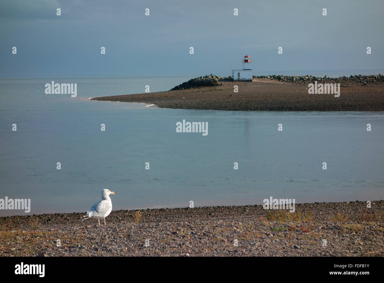 lighthouse and gull at Parrsboro, Nova Scotia, Canada Stock Photo Alamy