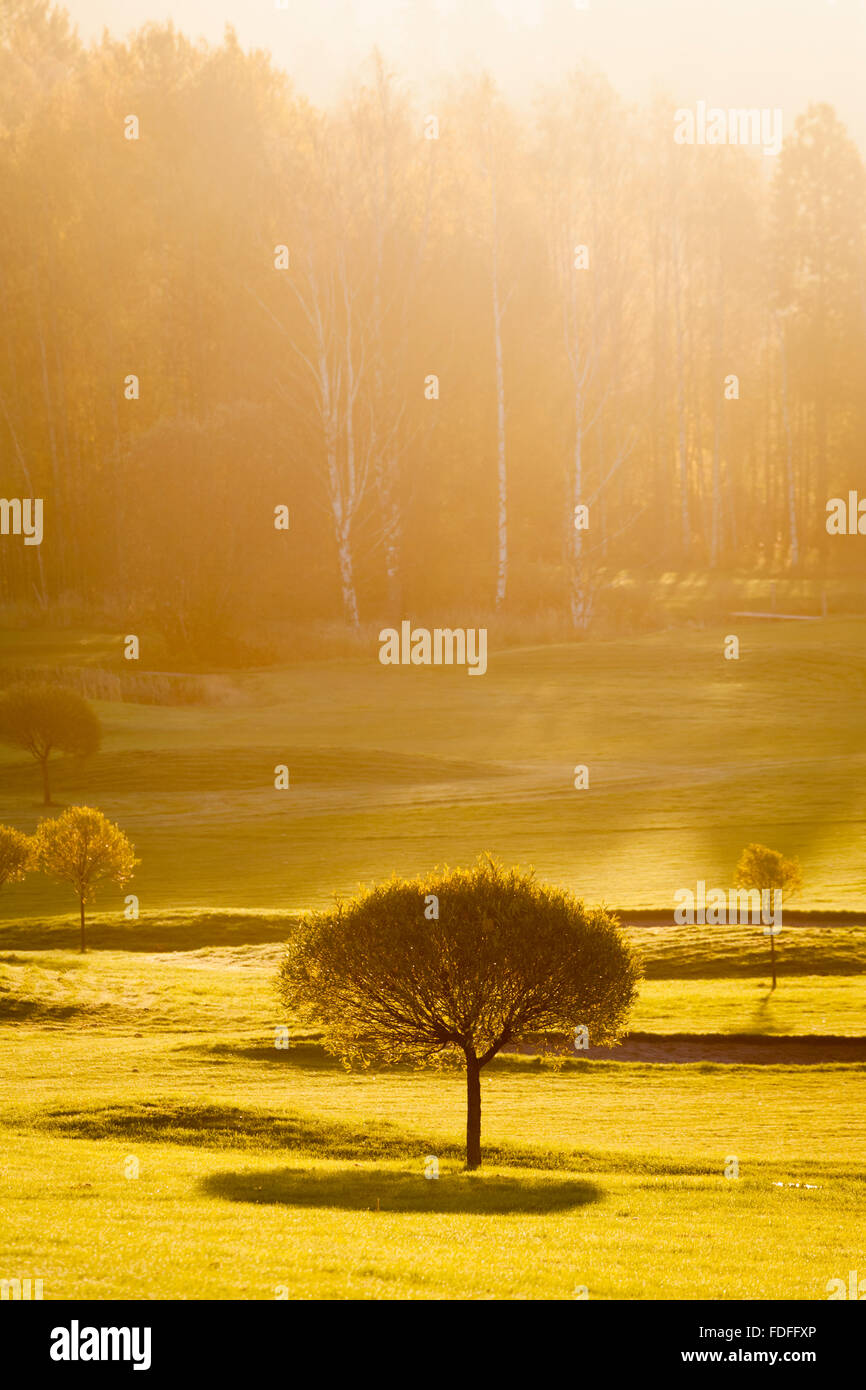 Morning on Golf Course Stock Photo - Alamy
